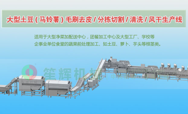 泰来连续式土豆去皮清洗切割风干生产线